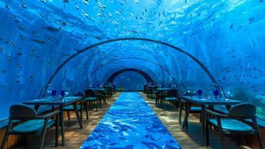 Hurawalhi Island Resort